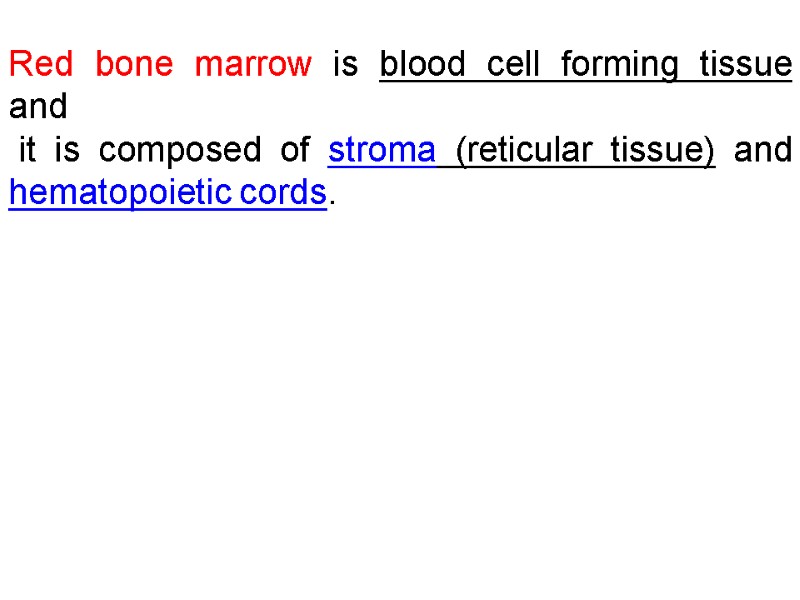 Red bone marrow is blood cell forming tissue  and   it is